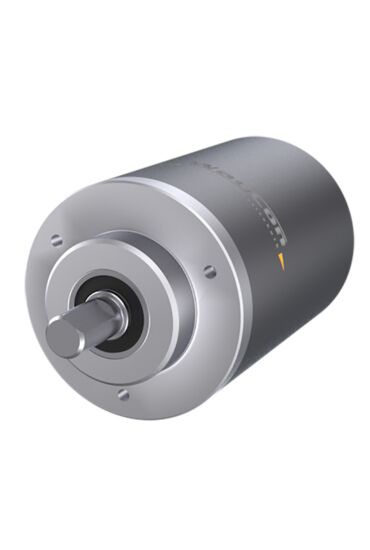 Winkelsensor WP Analog